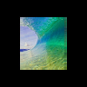 Meet your Posher, Traci